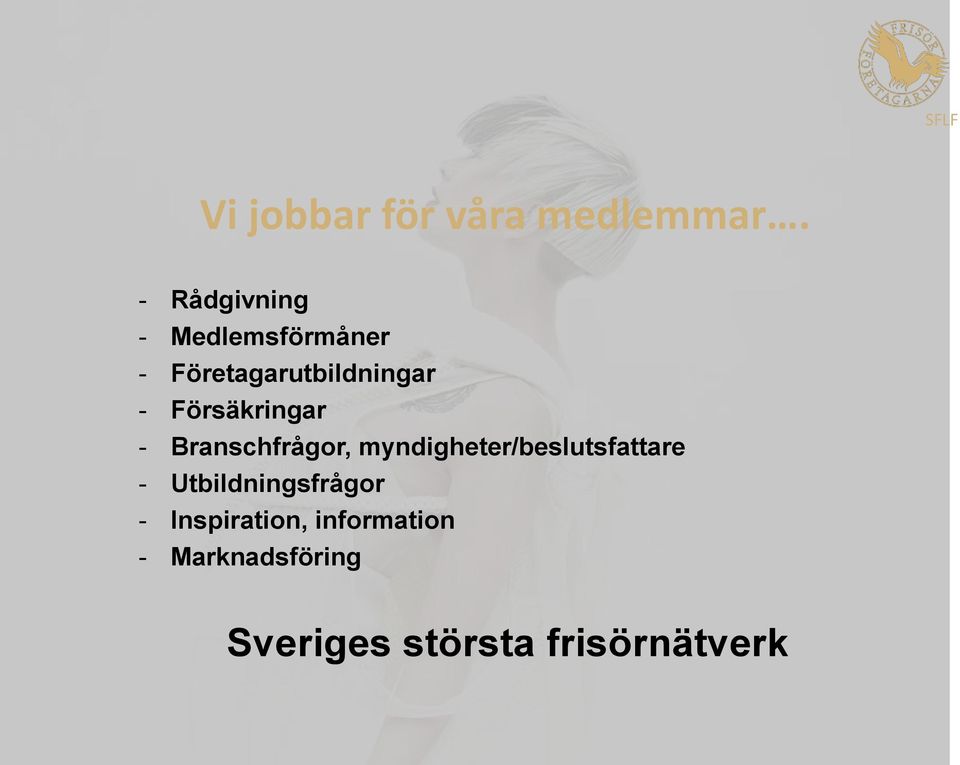 Försäkringar - Branschfrågor, myndigheter/beslutsfattare -