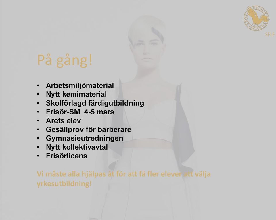 färdigutbildning Frisör-SM 4-5 mars Årets elev Gesällprov för
