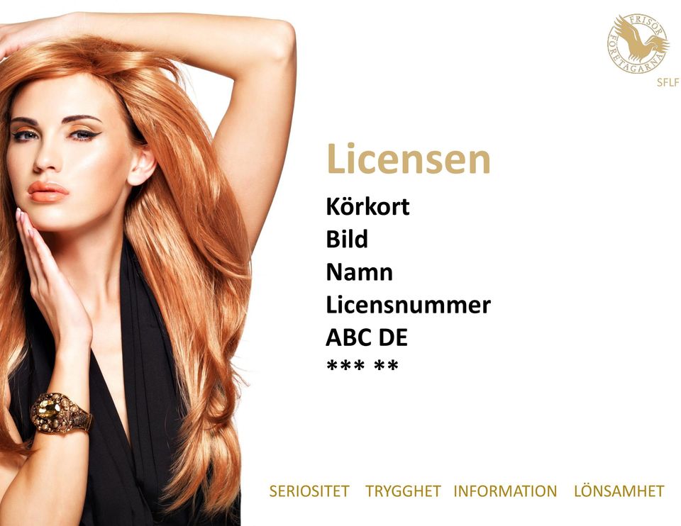 DE *** ** SERIOSITET