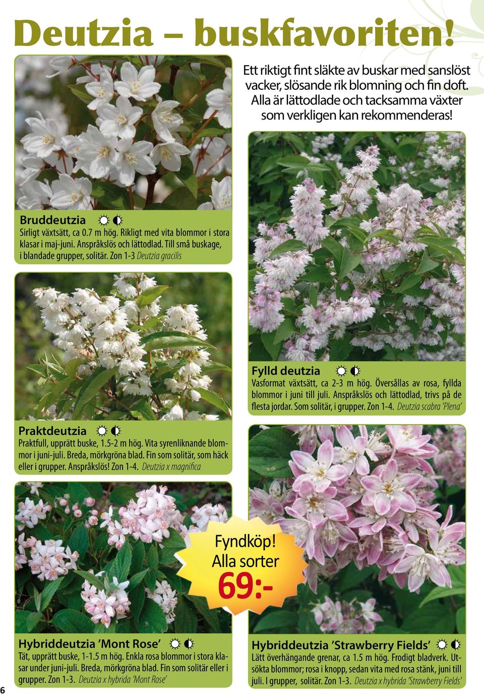 Zon 1-3 Deutzia gracilis Praktdeutzia Praktfull, upprätt buske, 1.5-2 m hög. Vita syrenliknande blommor i juni-juli. Breda, mörkgröna blad. Fin som solitär, som häck eller i grupper. Anspråkslös!