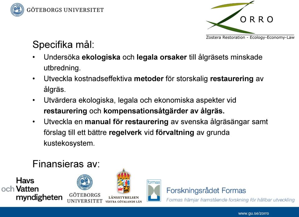 Utvärdera ekologiska, legala och ekonomiska aspekter vid restaurering och kompensationsåtgärder av ålgräs.