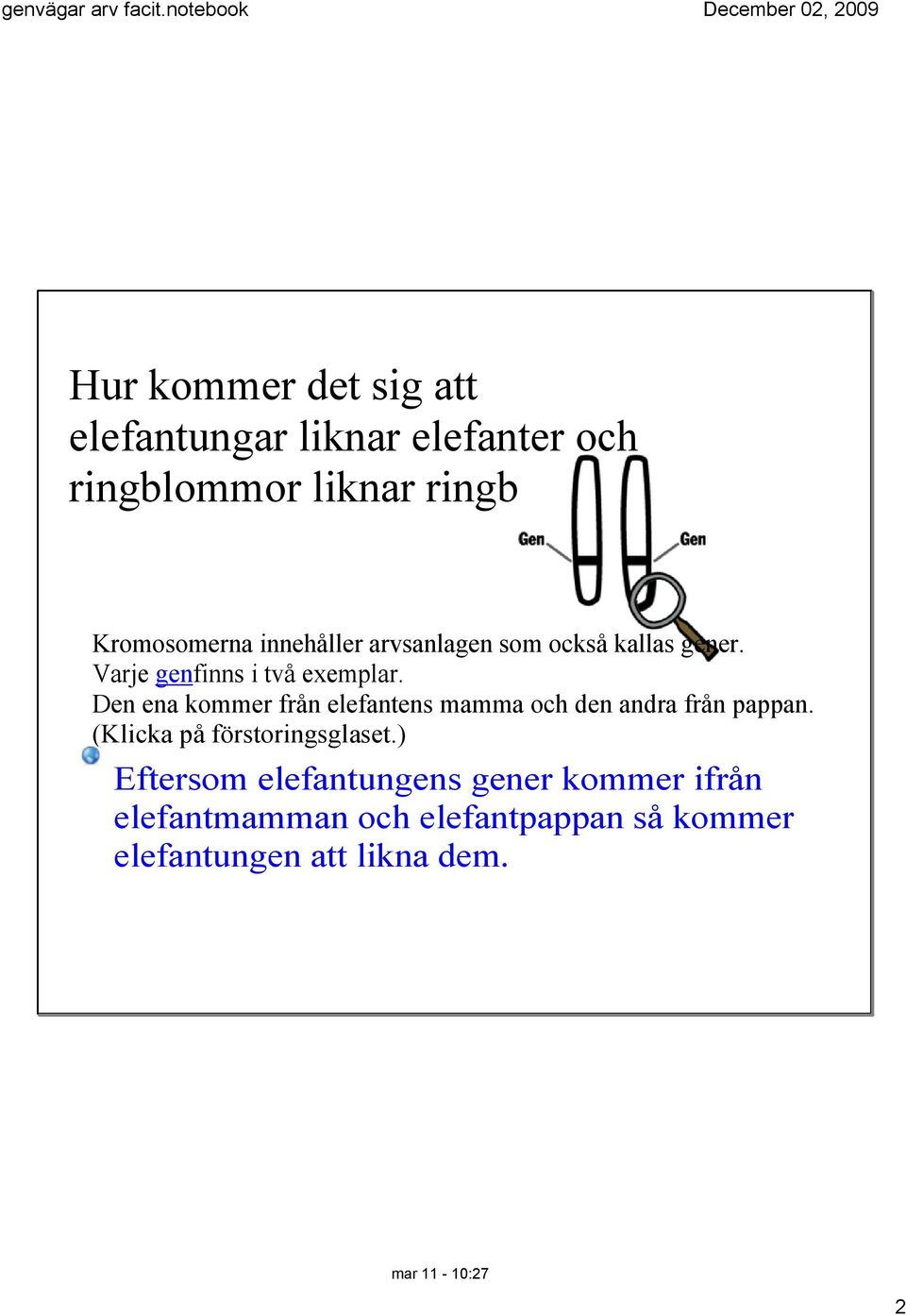 Den ena kommer från elefantens mamma och den andra från pappan. (Klicka på förstoringsglaset.