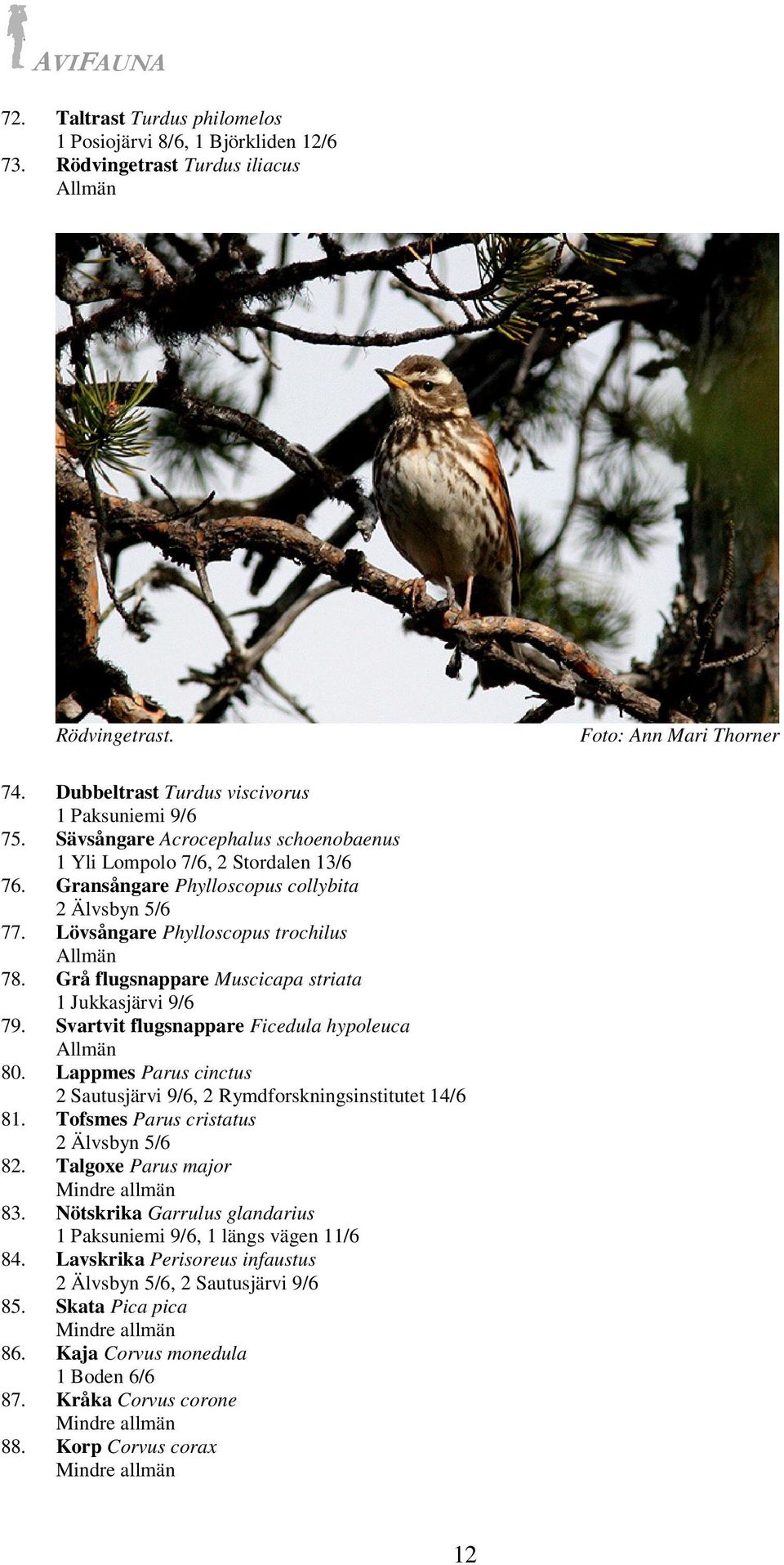 Grå flugsnappare Muscicapa striata 1 Jukkasjärvi 9/6 79. Svartvit flugsnappare Ficedula hypoleuca 80. Lappmes Parus cinctus 2 Sautusjärvi 9/6, 2 Rymdforskningsinstitutet 14/6 81.