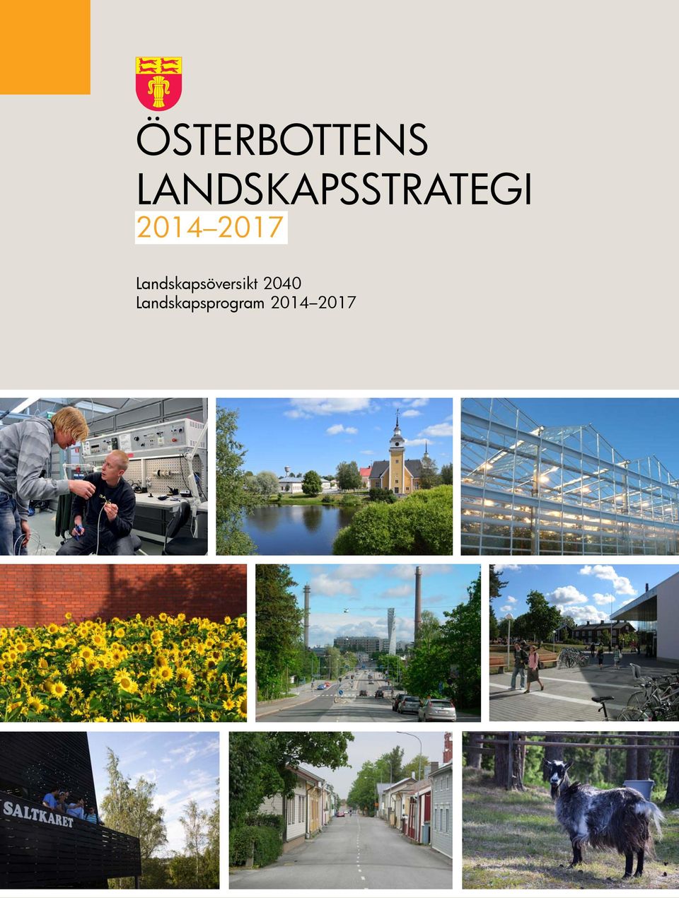 2017 Landskapsöversikt
