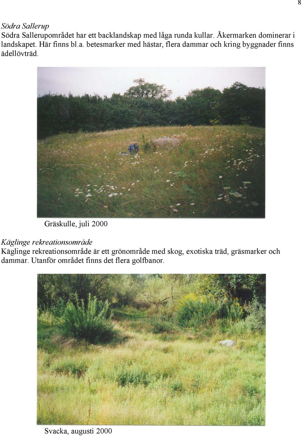 Gräskulle, juli 2000 Käglinge rekreationsområde Käglinge rekreationsområde är ett grönområde med skog,