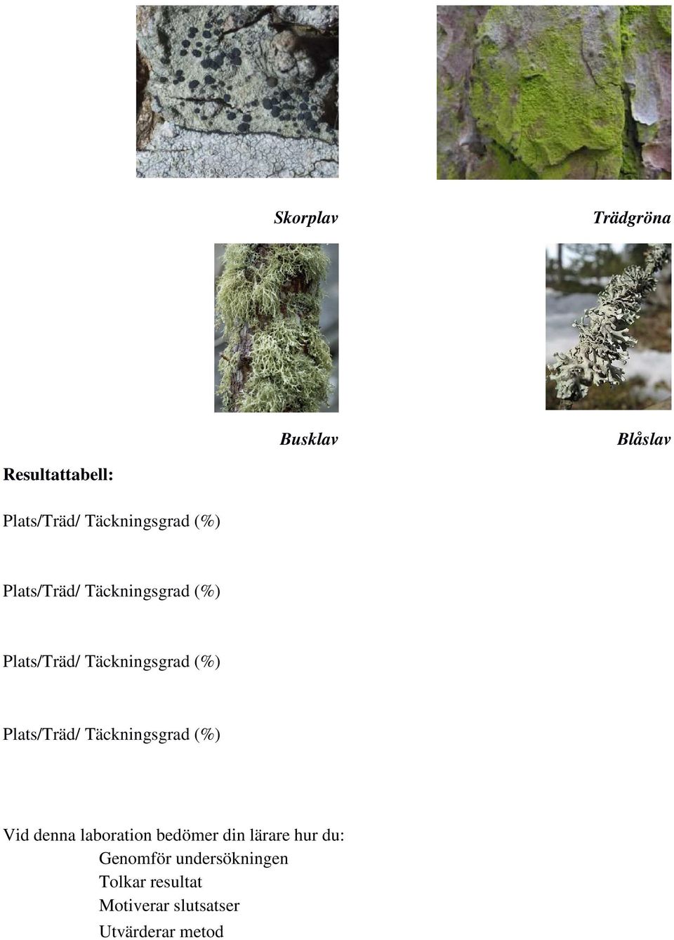 (%) Plats/Träd/ Täckningsgrad (%) Vid denna laboration bedömer din lärare