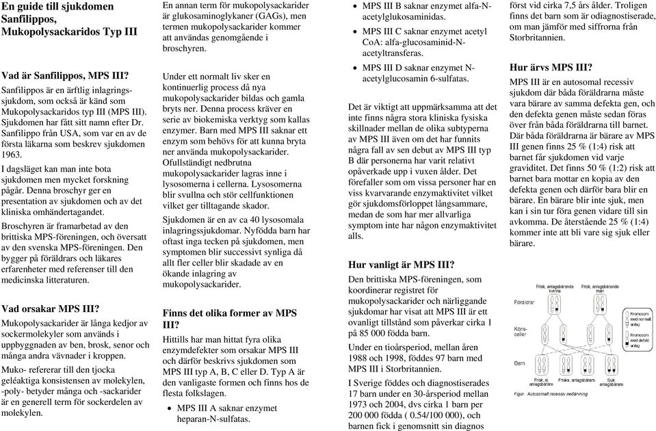 först vid cirka 7,5 års ålder. Troligen finns det barn som är odiagnostiserade, om man jämför med siffrorna från Storbritannien. Vad är Sanfilippos, MPS III?
