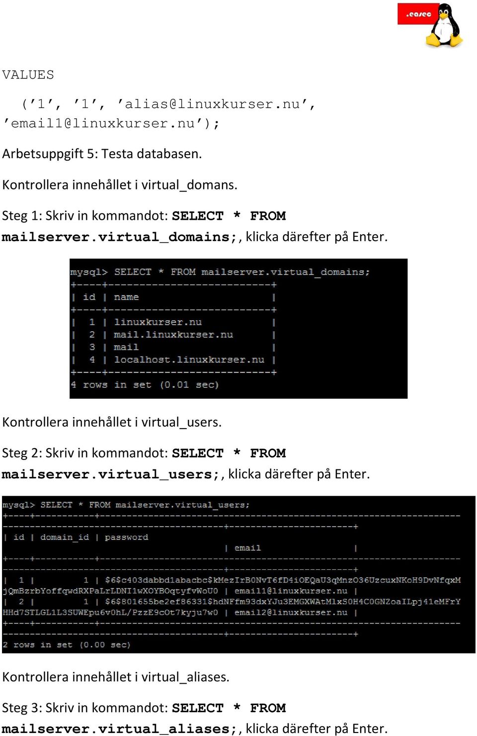 virtual_domains;, klicka därefter på Enter. Kontrollera innehållet i virtual_users.