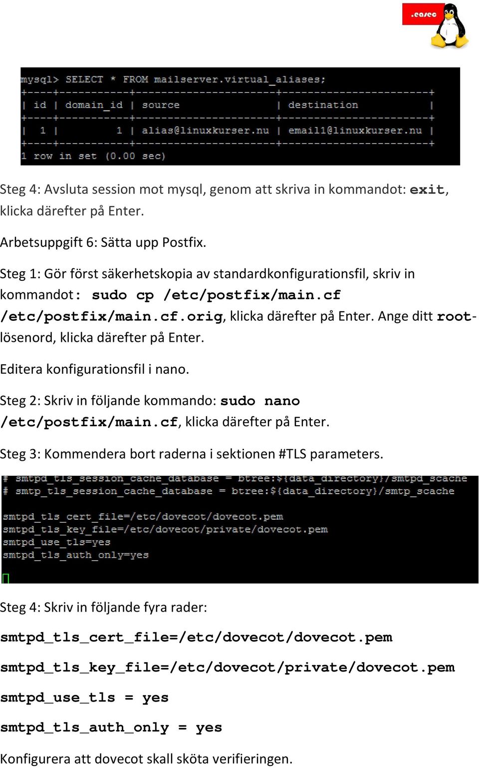 Ange ditt rootlösenord, klicka därefter på Enter. Editera konfigurationsfil i nano. Steg 2: Skriv in följande kommando: sudo nano /etc/postfix/main.cf, klicka därefter på Enter.