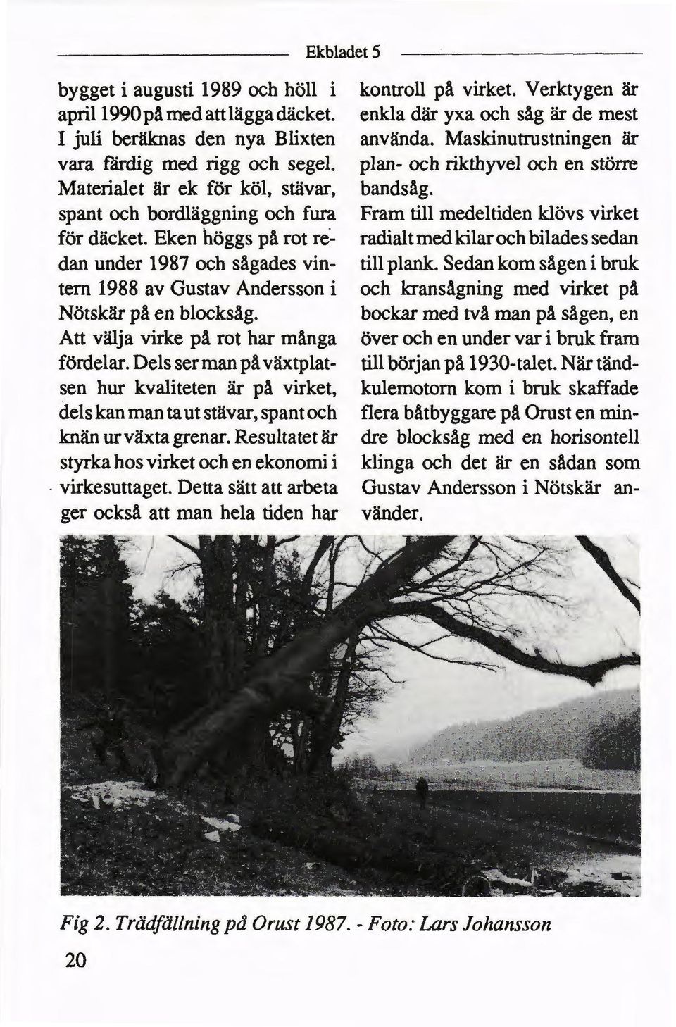 spant och bordläggning och fura Fram till medeltiden klövs virket för däcket. Eken höggs på rot re- radialt med kilar och biladessedan dan under 1987 och sågades vin- till plank.