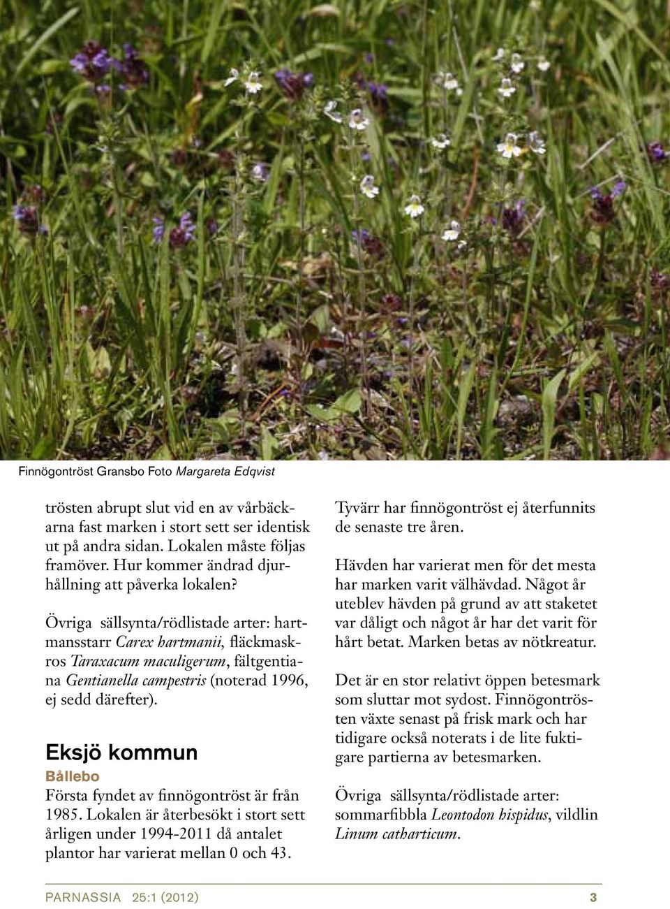 Övriga sällsynta/rödlistade arter: hartmansstarr Carex hartmanii, fläckmaskros Taraxacum maculigerum, fältgentiana Gentianella campestris (noterad 1996, ej sedd därefter).