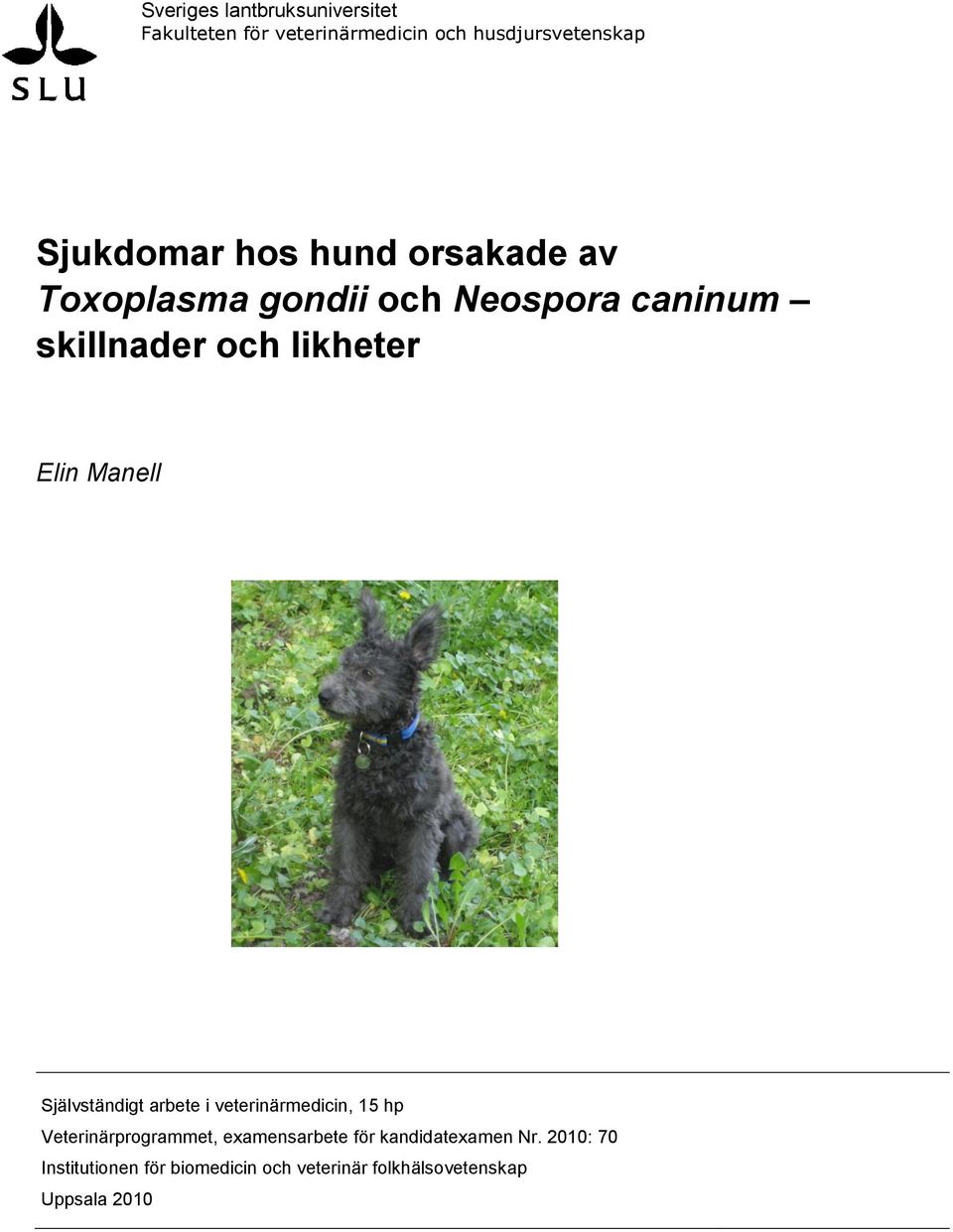 eventuell bild/illustration Självständigt arbete i veterinärmedicin, 15 hp Veterinärprogrammet,