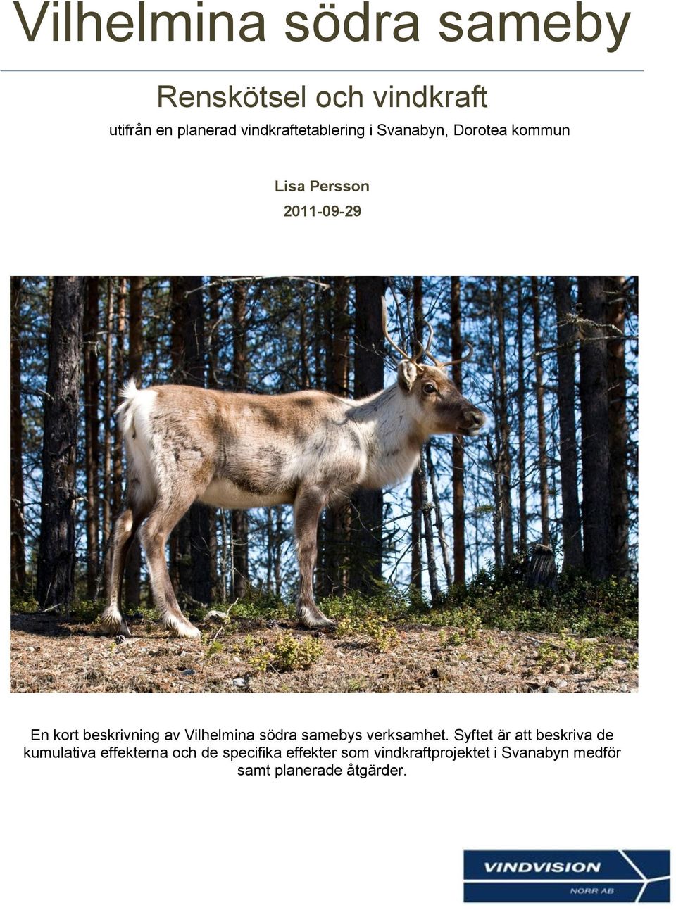 beskrivning av Vilhelmina södra samebys verksamhet.