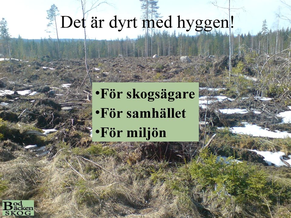 För skogsägare