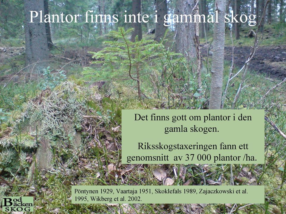 Riksskogstaxeringen fann ett genomsnitt av 37 000 plantor