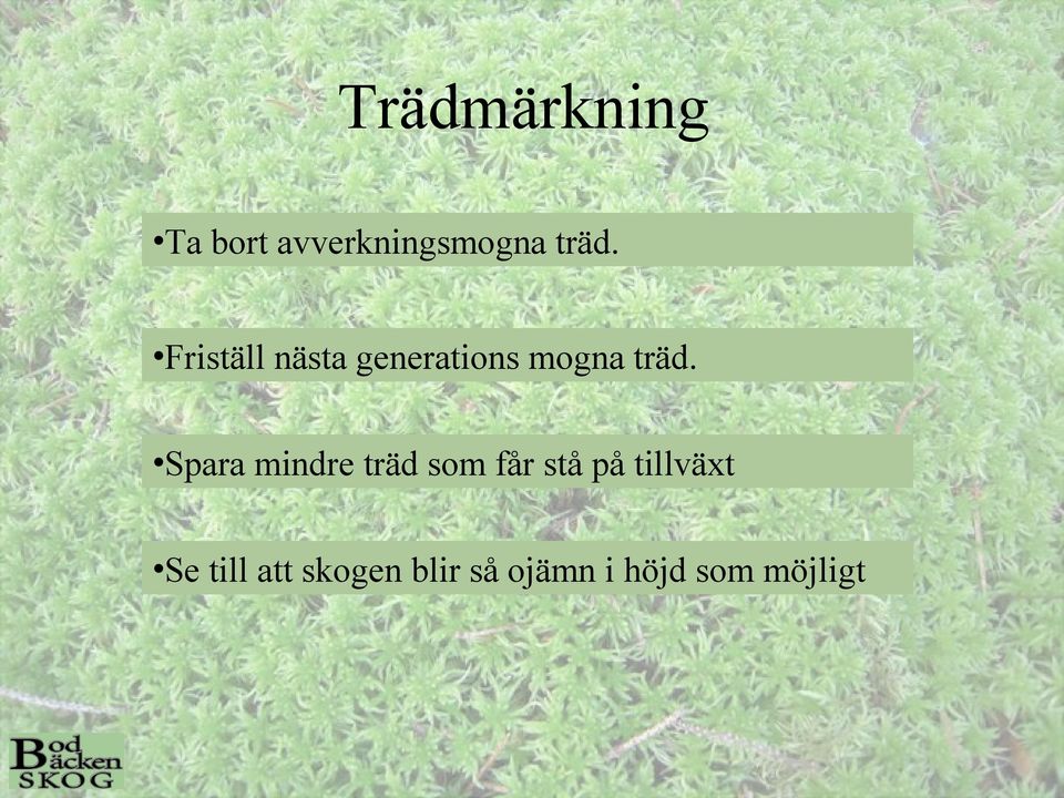 Spara mindre träd som får stå på tillväxt