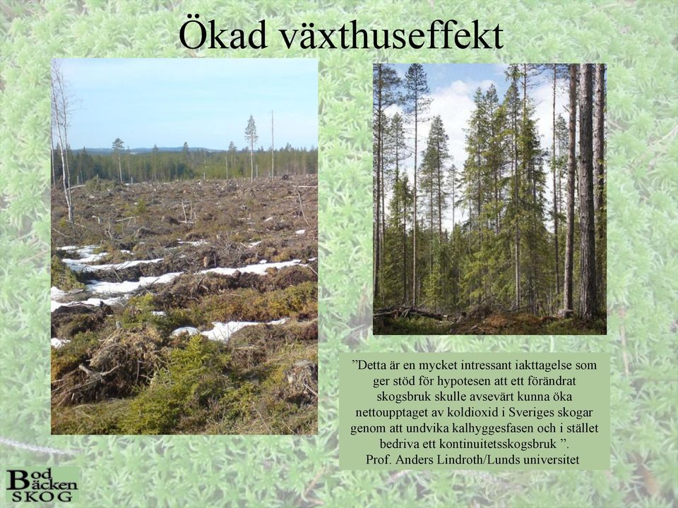 nettoupptaget av koldioxid i Sveriges skogar genom att undvika