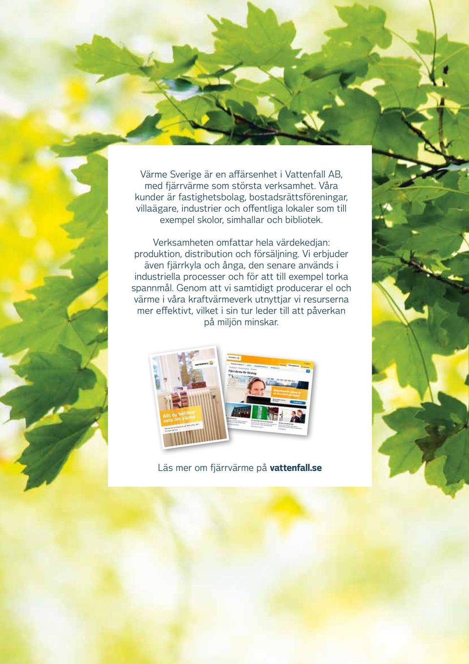 Verksamheten omfattar hela värde kedjan: produktion, distribution och försäljning.