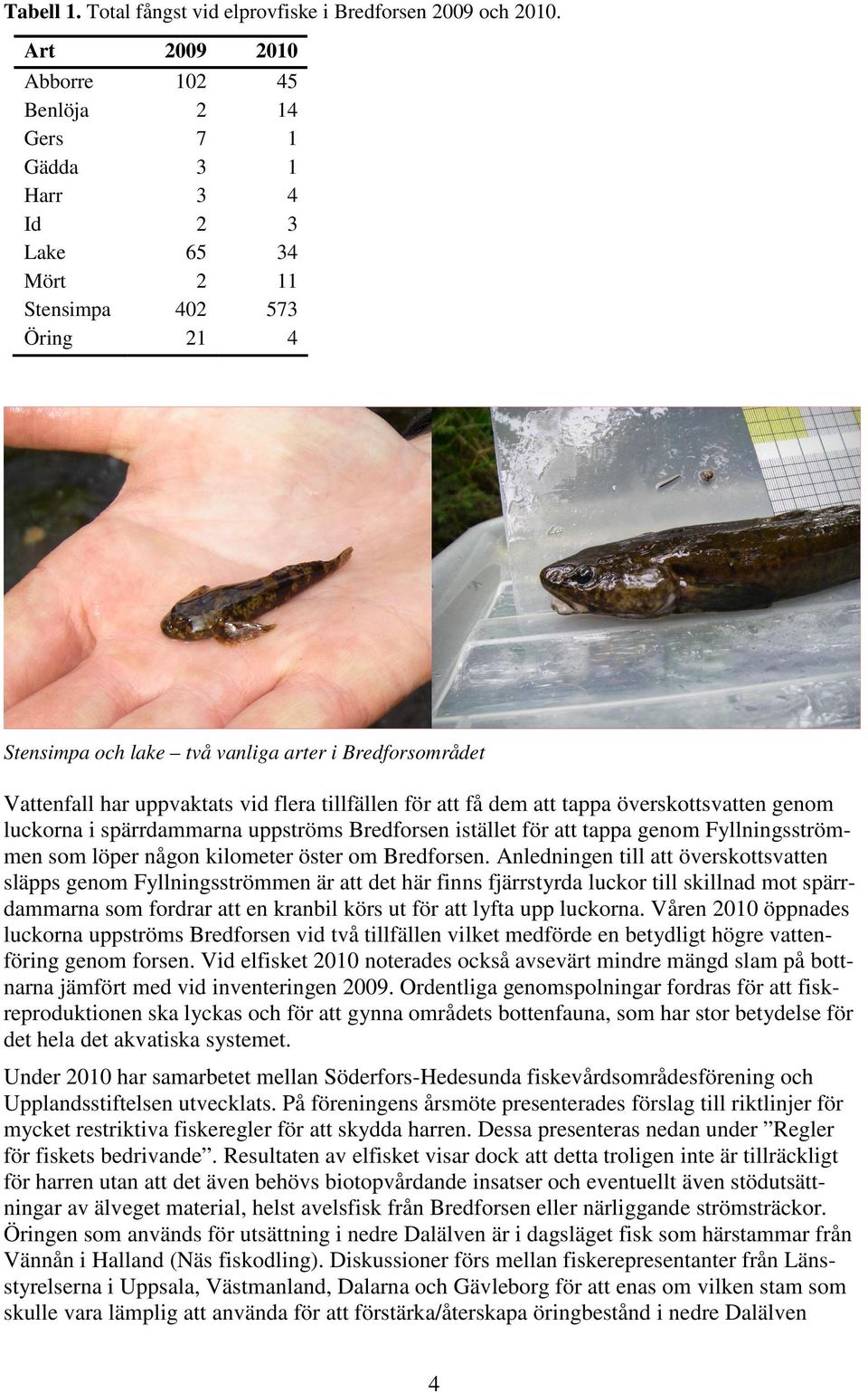 uppvaktats vid flera tillfällen för att få dem att tappa överskottsvatten genom luckorna i spärrdammarna uppströms Bredforsen istället för att tappa genom Fyllningsströmmen som löper någon kilometer