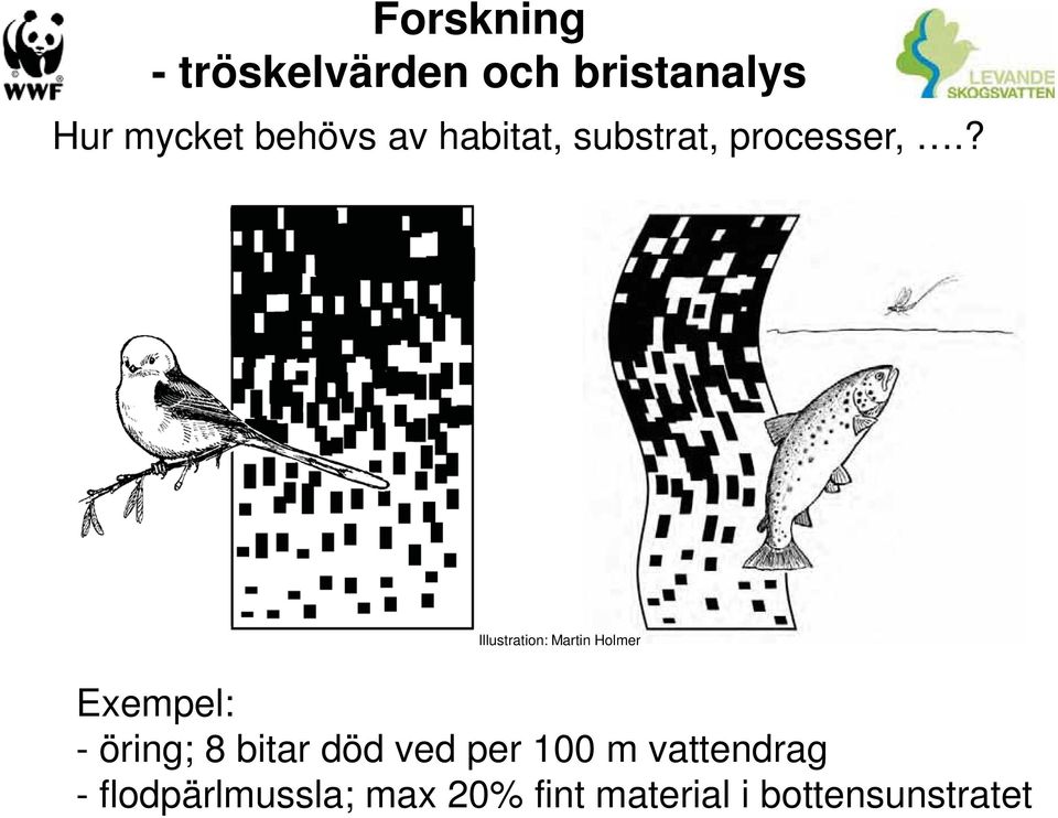 ? Illustration: Martin Holmer Exempel: - öring; 8 bitar