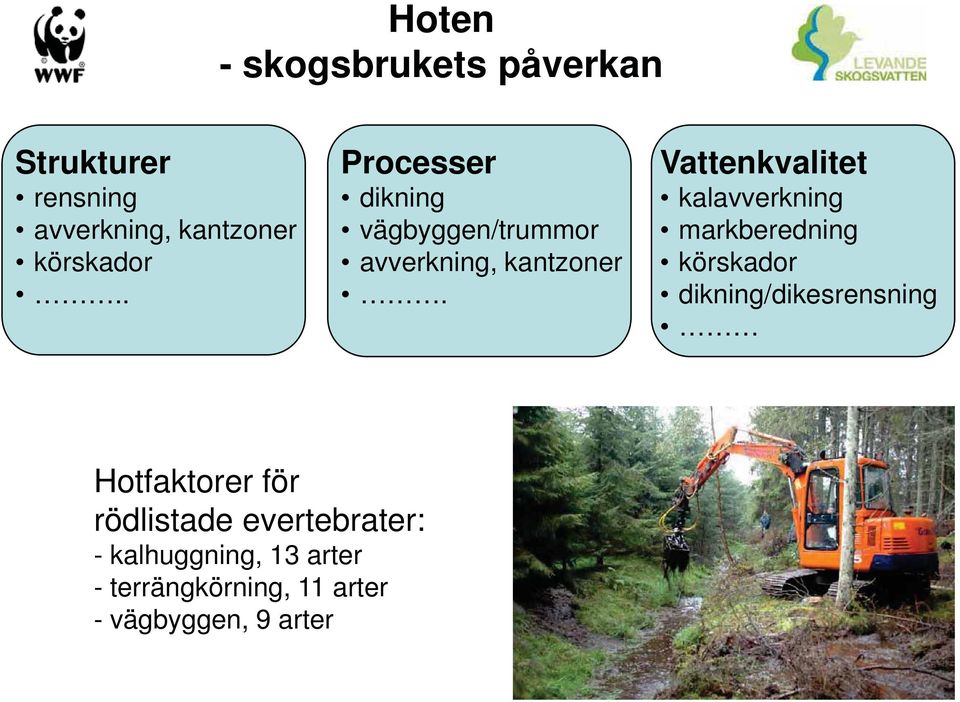 Vattenkvalitet kalavverkning markberedning körskador dikning/dikesrensning