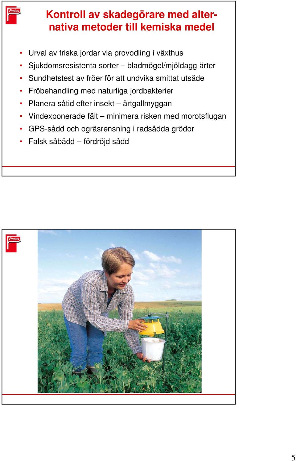 utsäde Fröbehandling med naturliga jordbakterier Planera såtid efter insekt ärtgallmyggan Vindexponerade