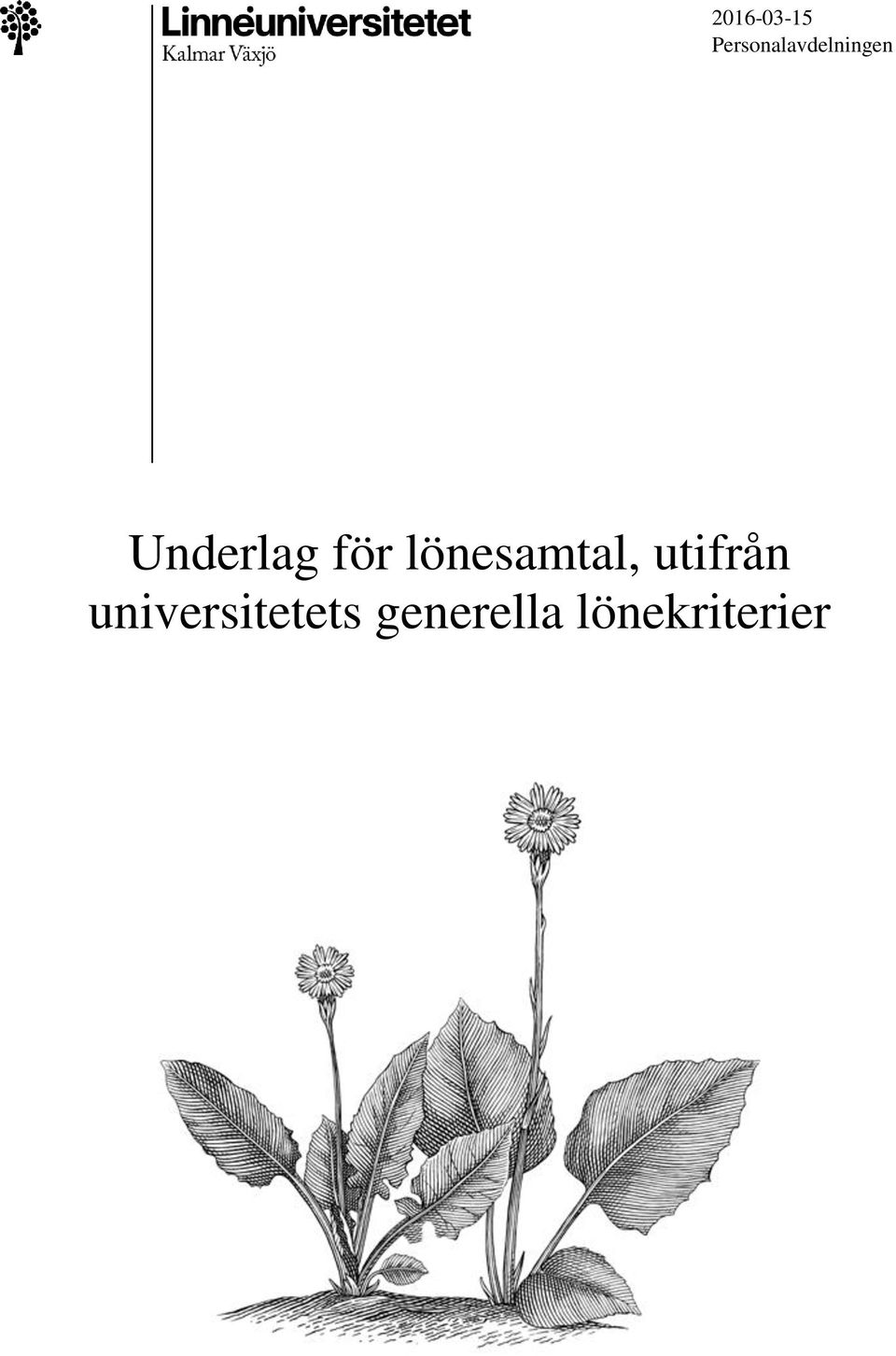 Underlag för lönesamtal,