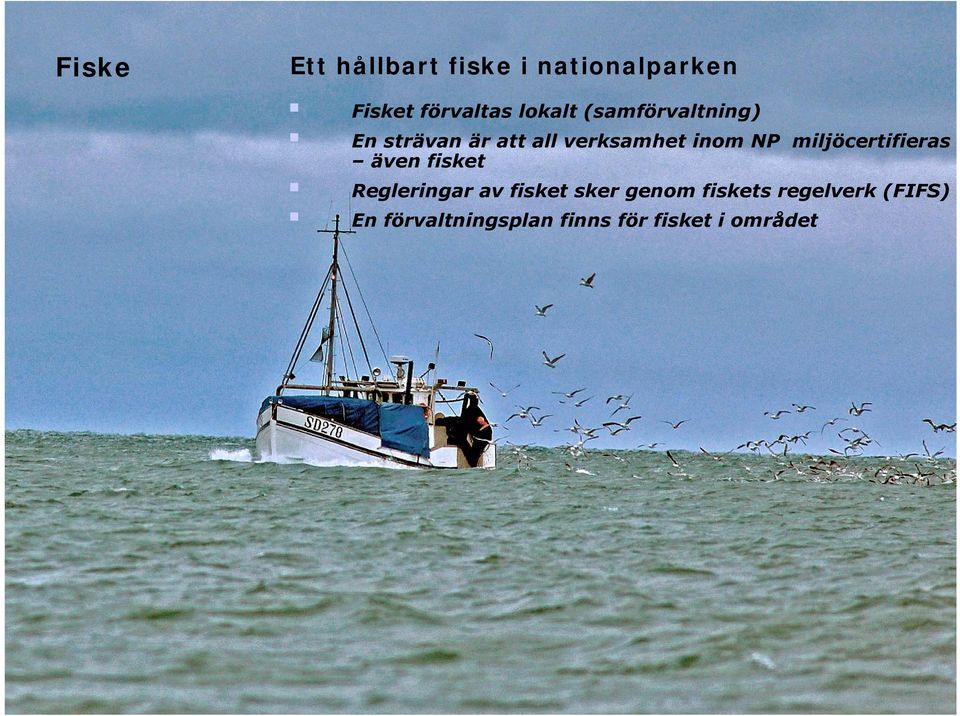miljöcertifieras även fisket Regleringar av fisket sker genom