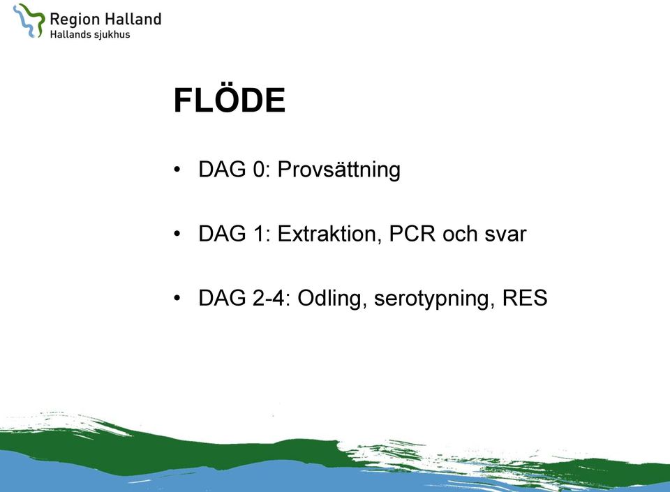 Extraktion, PCR och