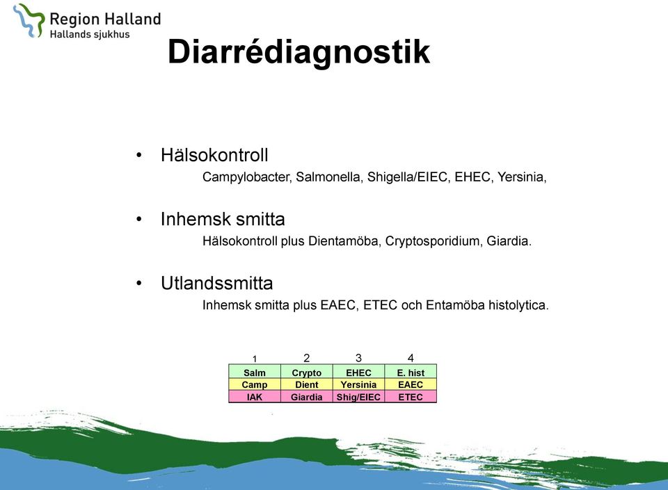 Giardia. Utlandssmitta Inhemsk smitta plus EAEC, ETEC och Entamöba histolytica.