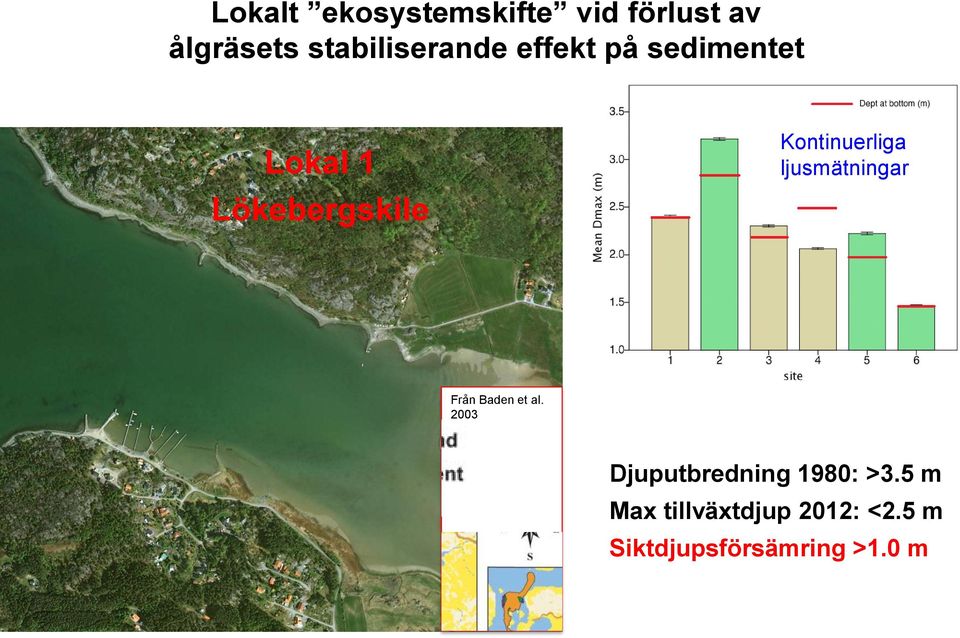 Minskat skydd av sediment Ökad uppgrumling Försämrad vattenkvalitét Från Baden et
