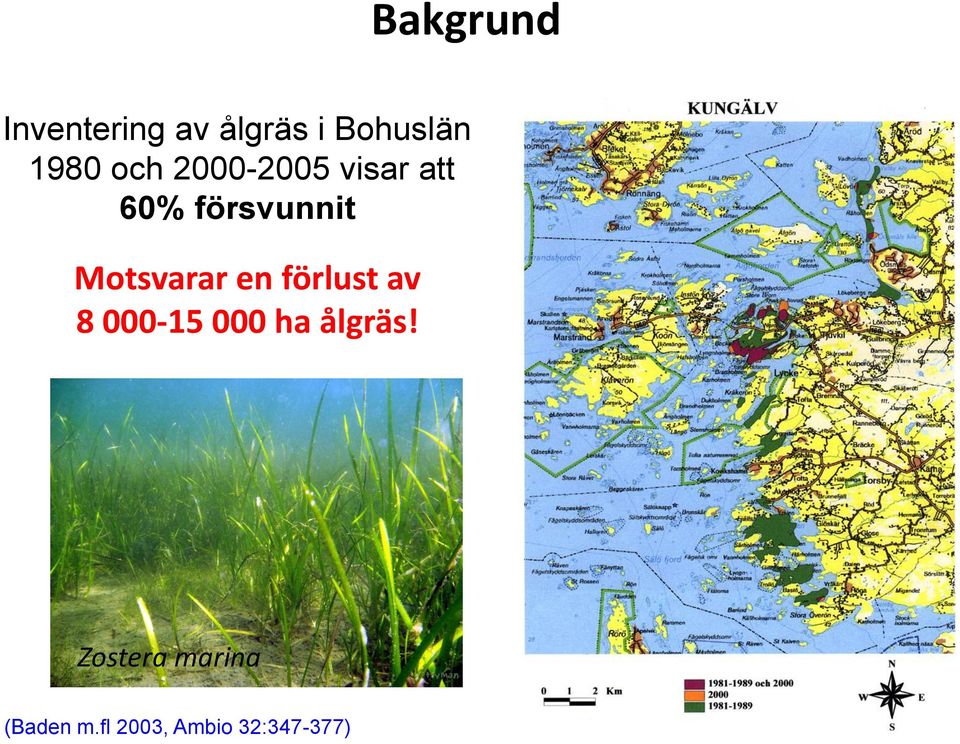 Motsvarar en förlust av 8 000-15 000 ha