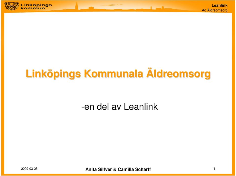 Leanlink Anita Silfver &