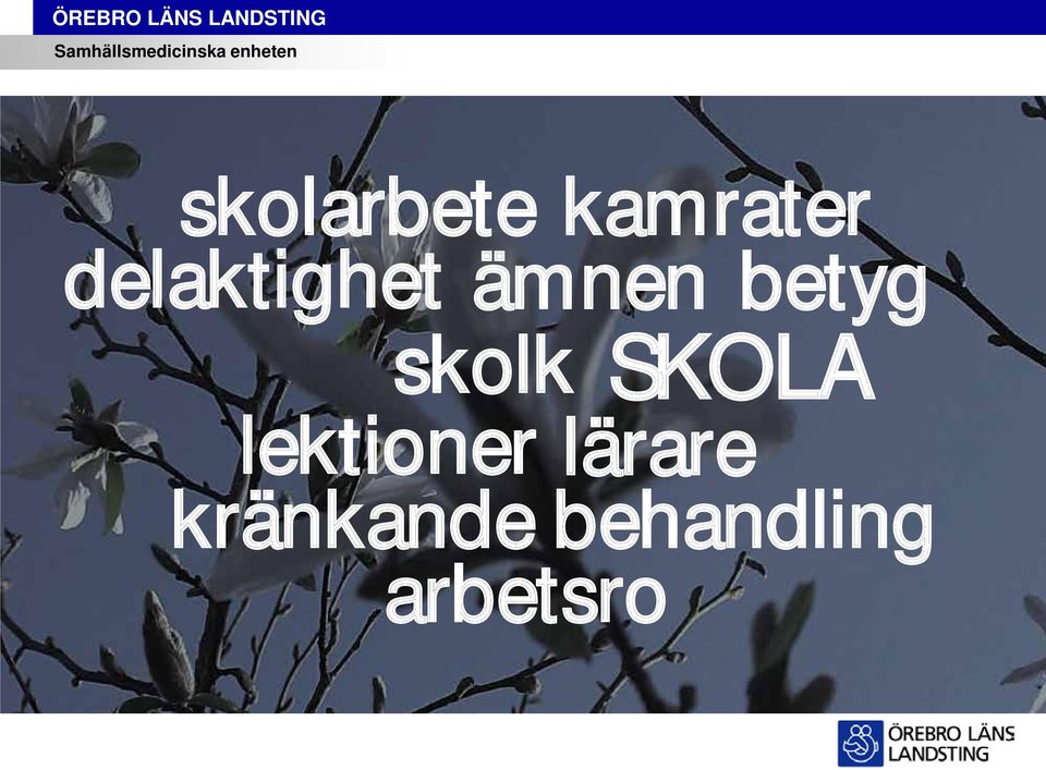 skolk SKOLA lektioner