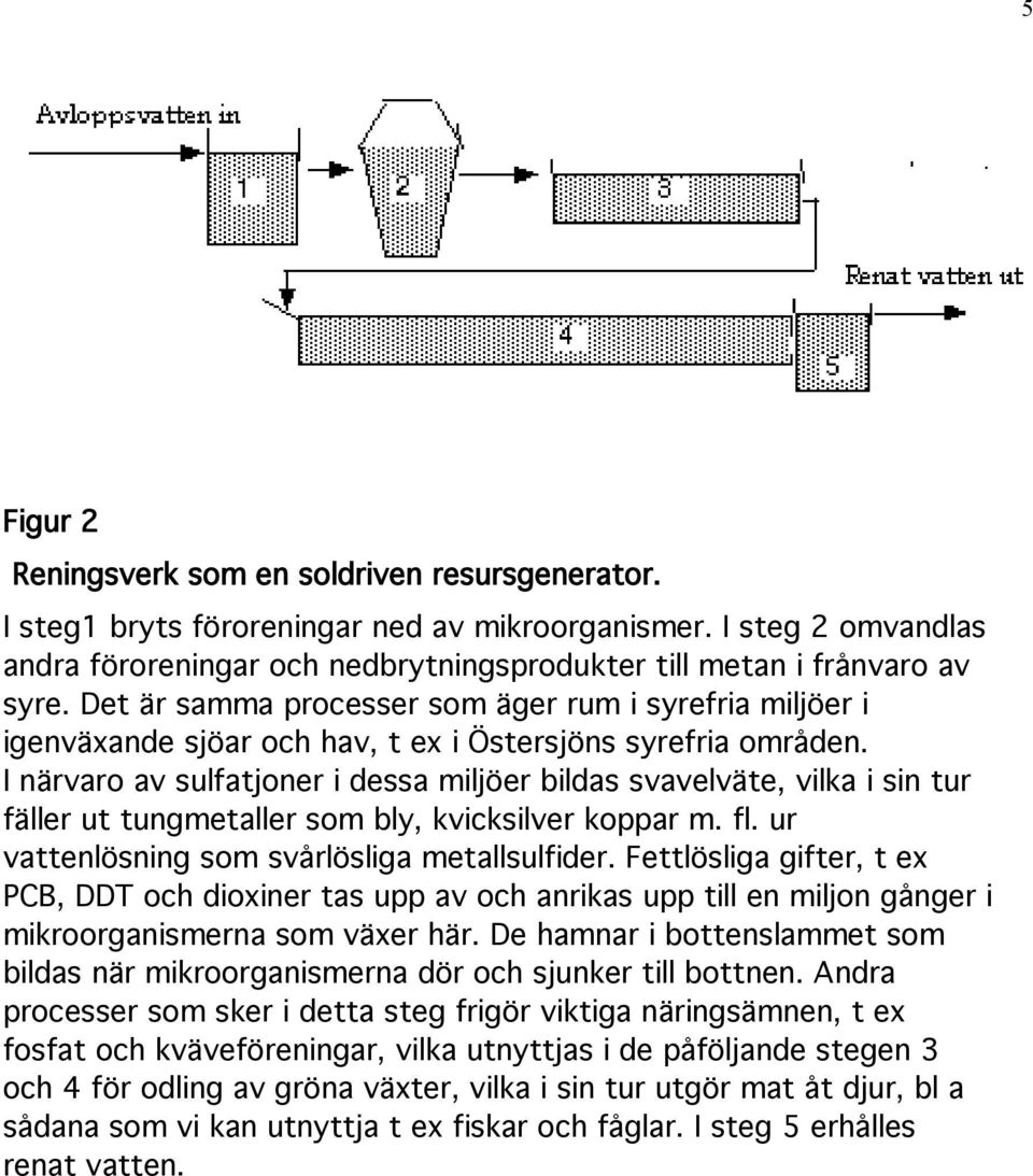 Det är samma processer som äger rum i syrefria miljöer i igenväxande sjöar och hav, t ex i Östersjöns syrefria områden.
