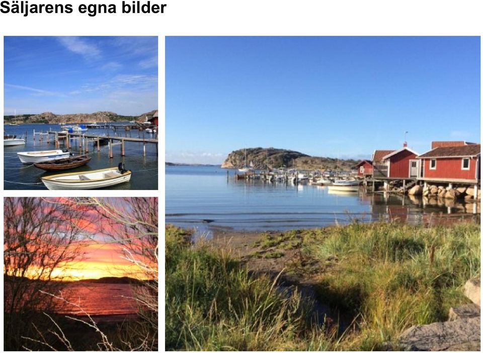bilder