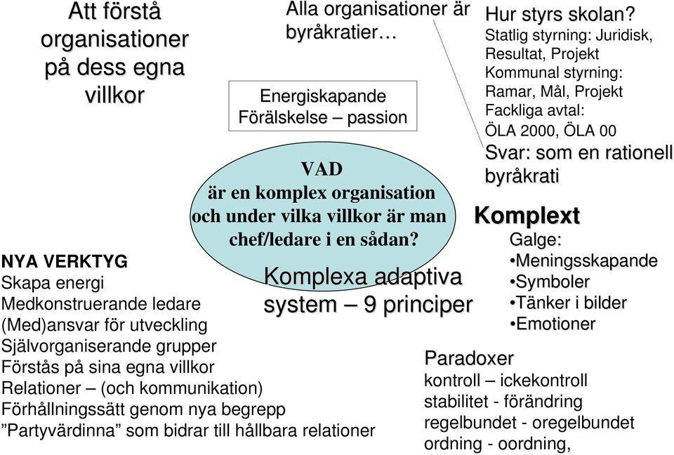NYA VERKTYG Skapa energi Medkonstruerande ledare (Med)ansvar för utveckling Självorganiserande grupper Förstås på sina egna villkor Relationer (och kommunikation) Förhållningssätt genom nya begrepp