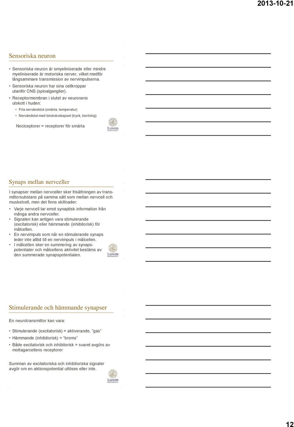 Receptormembran i slutet av neuronens utskott i huden: Fria nervändslut (smärta, temperatur) Nervändslut med bindvävskapsel (tryck, beröring) Nociceptorer = receptorer för smärta Synaps mellan