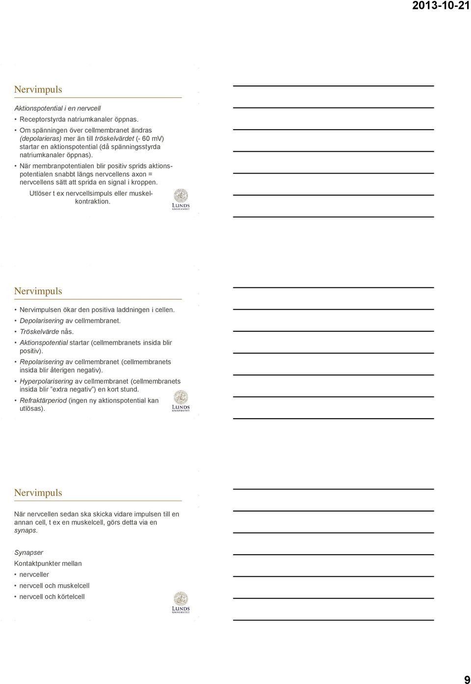 När membranpotentialen blir positiv sprids aktionspotentialen snabbt längs nervcellens axon = nervcellens sätt att sprida en signal i kroppen. Utlöser t ex nervcellsimpuls eller muskelkontraktion.