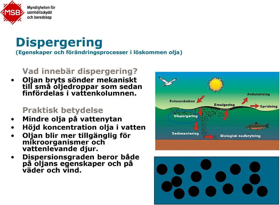 vattenkolumnen.