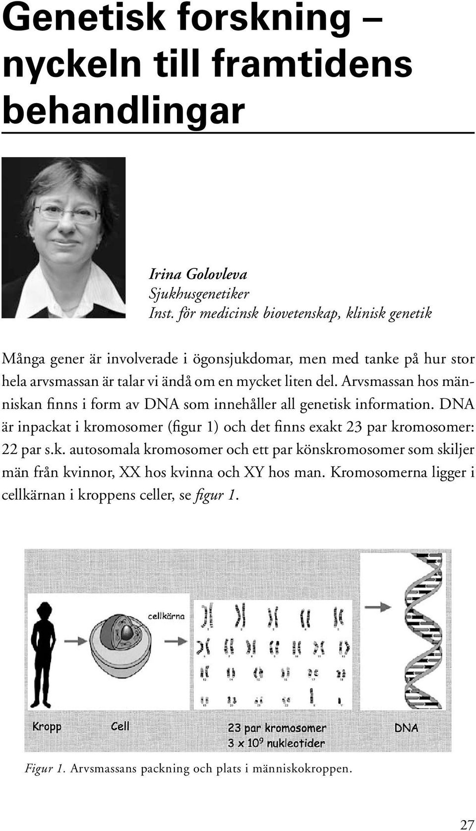 del. Arvsmassan hos människan finns i form av DNA som innehåller all genetisk information.