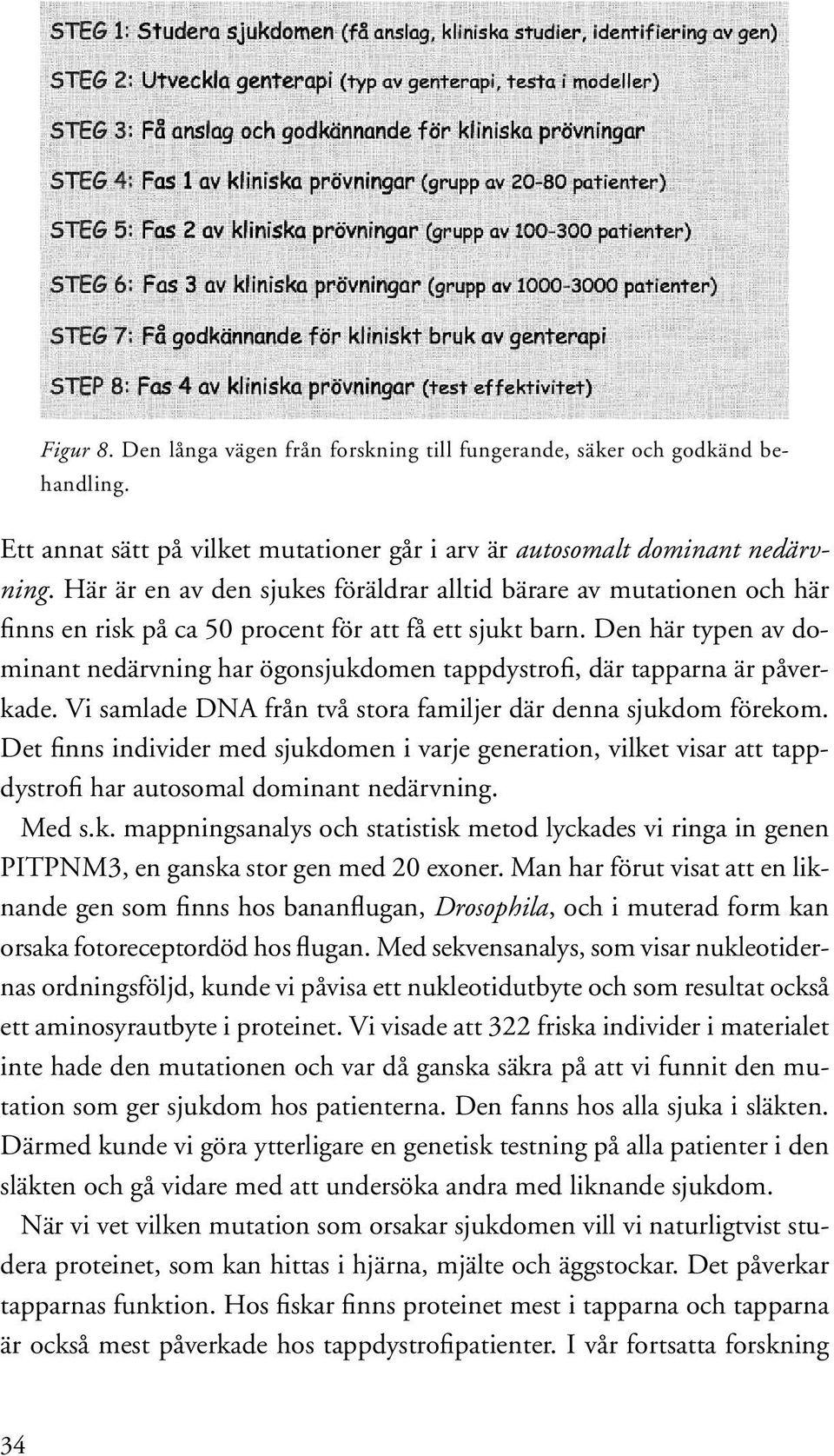 Den här typen av dominant nedärvning har ögonsjukdomen tappdystrofi, där tapparna är påverkade. Vi samlade DNA från två stora familjer där denna sjukdom förekom.