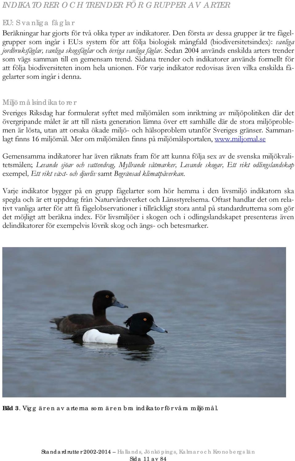 Sedan 2004 används enskilda arters trender som vägs samman till en gemensam trend. Sådana trender och indikatorer används formellt för att följa biodiversiteten inom hela unionen.