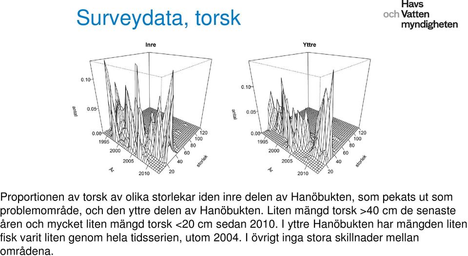 Liten mängd torsk >40 cm de senaste åren och mycket liten mängd torsk <20 cm sedan 2010.