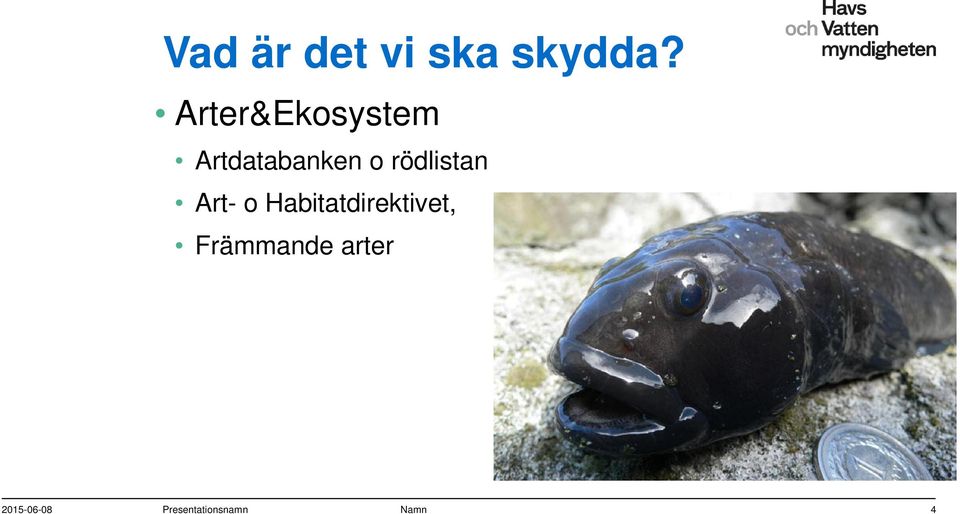 rödlistan Art- o Habitatdirektivet,
