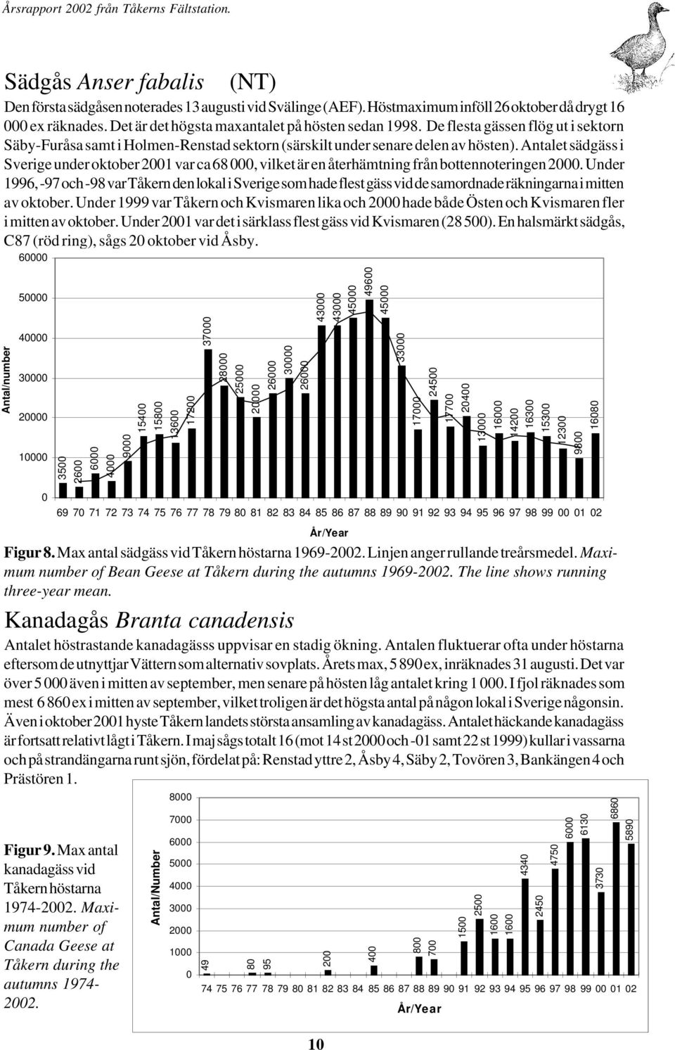 Antalet sädgäss i Sverige under oktober 21 var ca 68, vilket är en återhämtning från bottennoteringen 2.