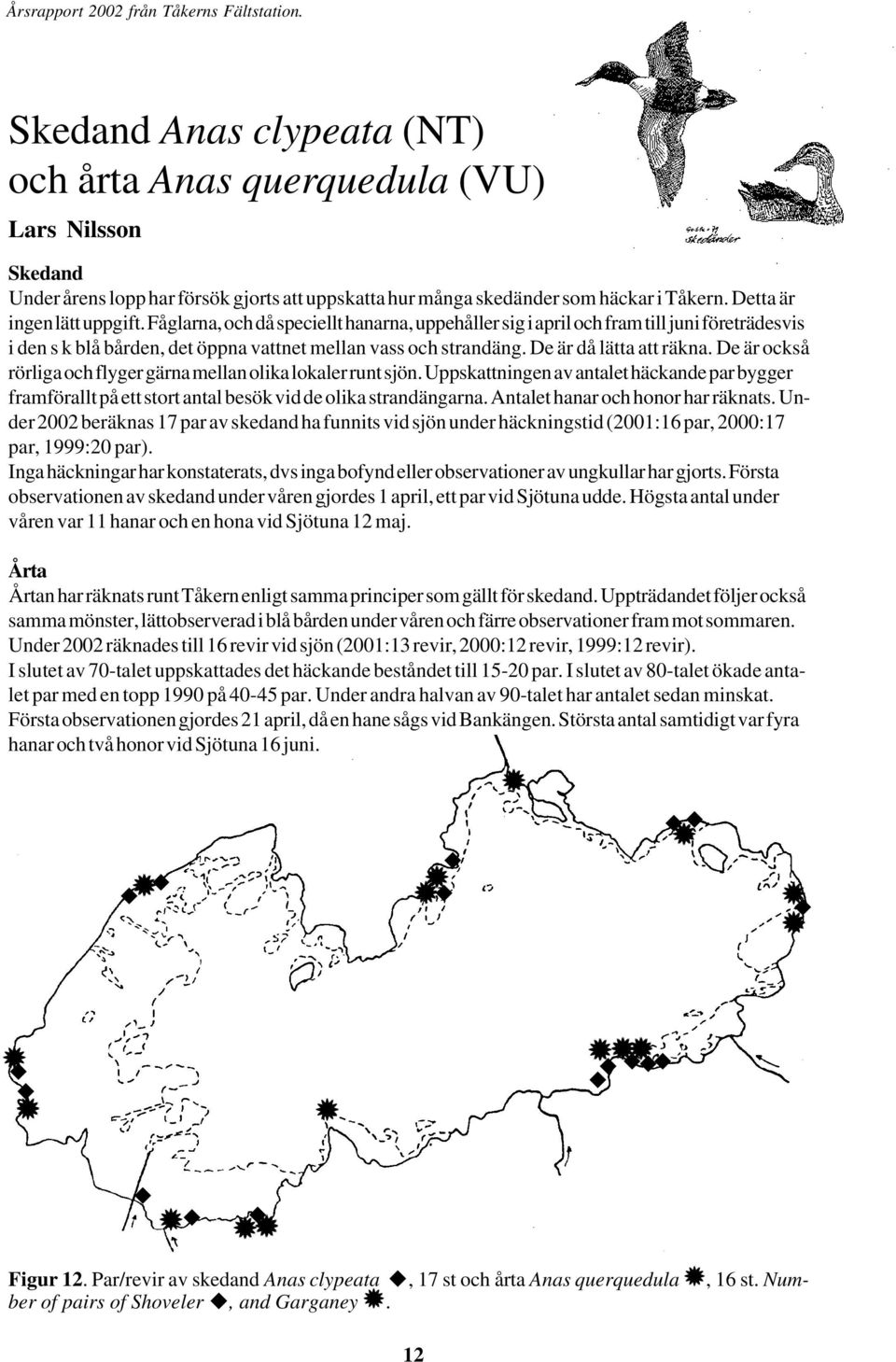De är också rörliga och flyger gärna mellan olika lokaler runt sjön. Uppskattningen av antalet häckande par bygger framförallt på ett stort antal besök vid de olika strandängarna.