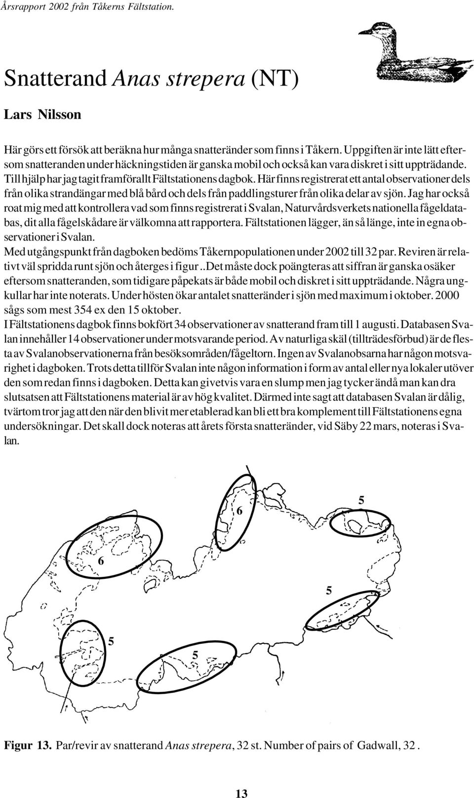 Här finns registrerat ett antal observationer dels från olika strandängar med blå bård och dels från paddlingsturer från olika delar av sjön.