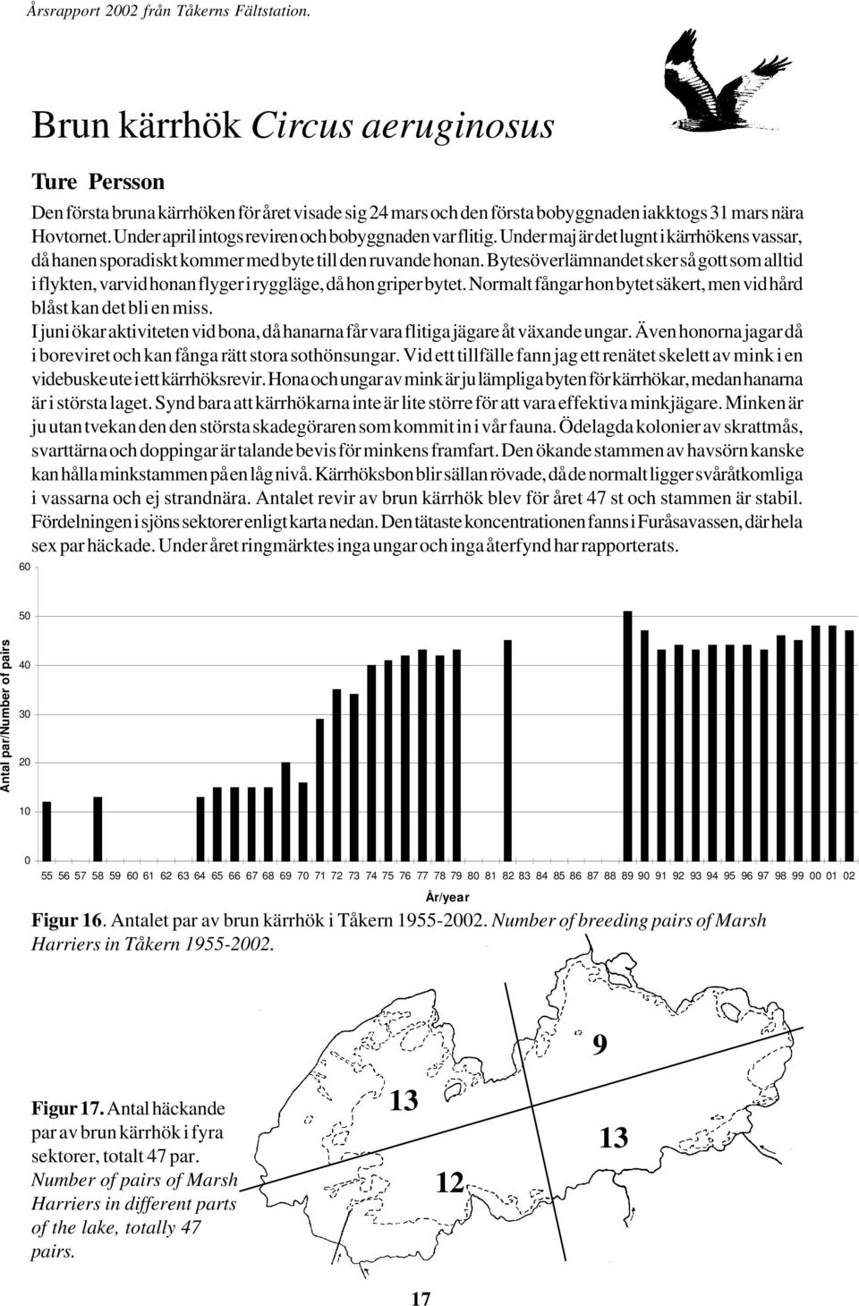 Bytesöverlämnandet sker så gott som alltid i flykten, varvid honan flyger i ryggläge, då hon griper bytet. Normalt fångar hon bytet säkert, men vid hård blåst kan det bli en miss.