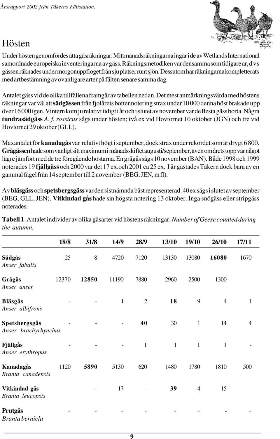 Dessutom har räkningarna kompletterats med artbestämning av ovanligare arter på fälten senare samma dag. Antalet gäss vid de olika tillfällena framgår av tabellen nedan.